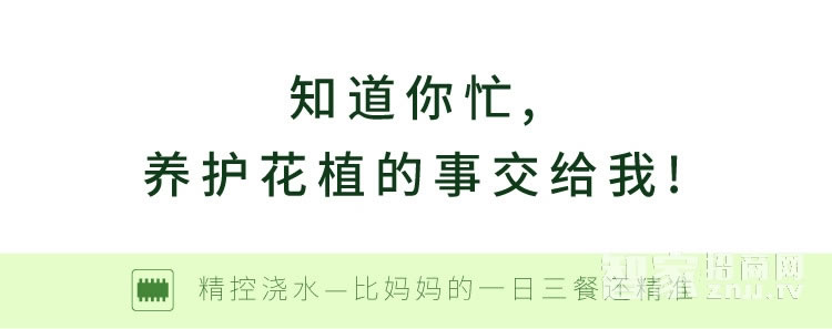 豪力士智能锁 D9888F指纹锁家用防盗门密码刷卡感应电子锁APP远程开门