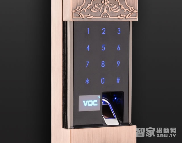 voc奢华贵族系列 LS79智能密码指纹锁