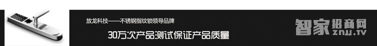 放龙科技智能锁 公寓大门指纹密码锁