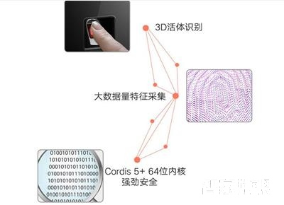 华府家用指纹锁 公寓大门防盗智能门锁