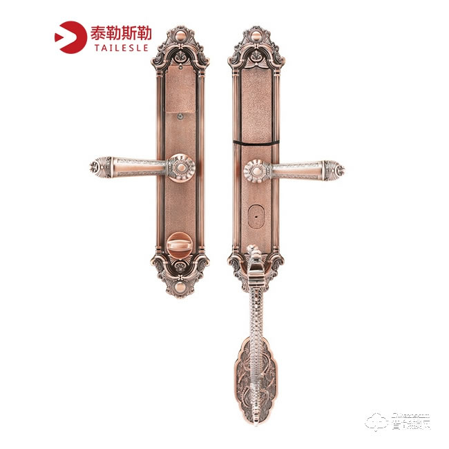 泰勒斯勒智能锁 S8豪华别墅滑盖密码锁