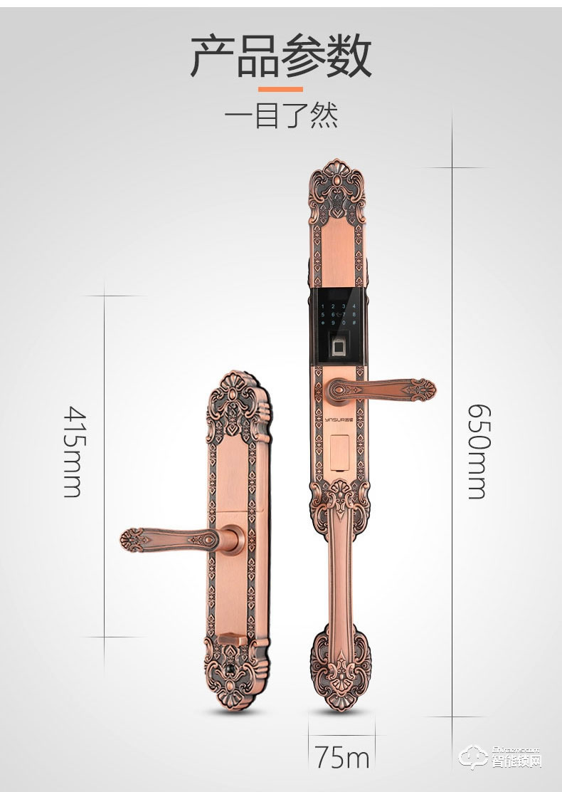 因硕指纹锁 D1欧式别墅大门智能密码锁