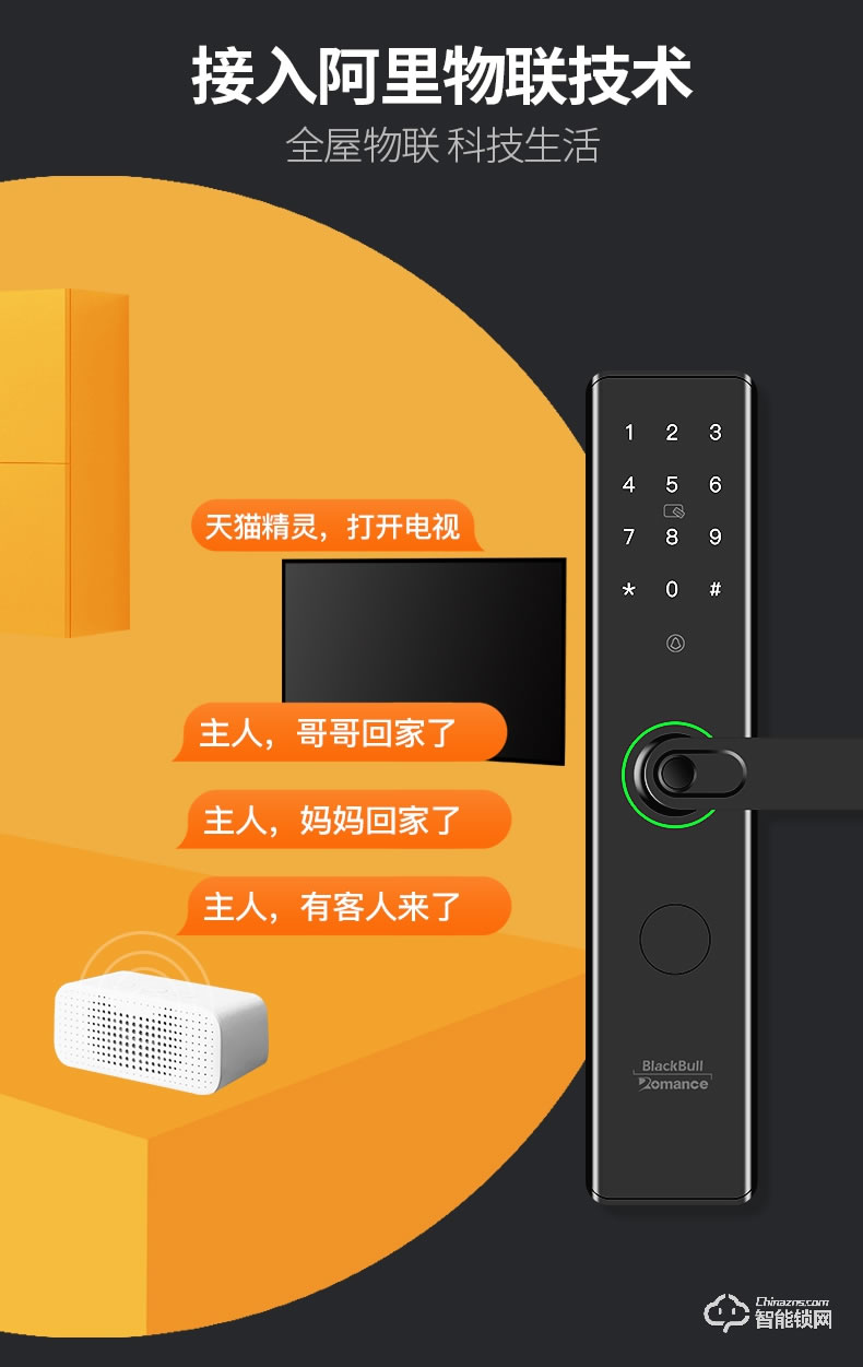 罗曼斯智能锁 G3家用防盗门指纹锁电子门锁