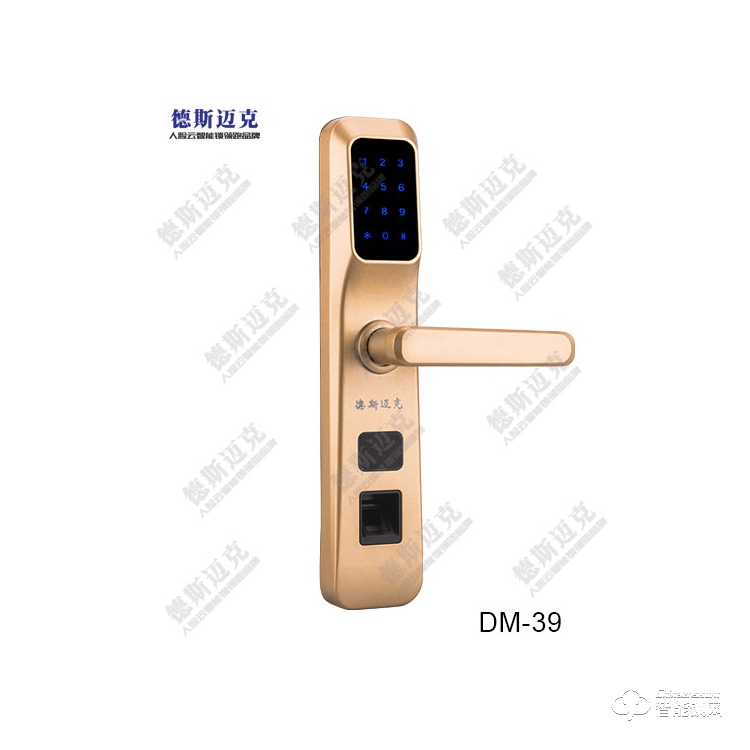 德斯迈克智能锁 DM39全自动密码锁磁卡锁