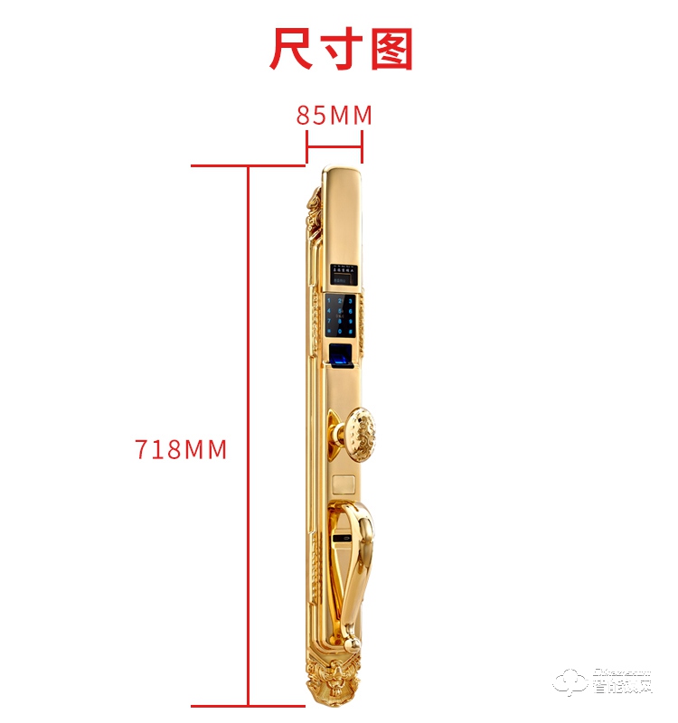 银驰不锈钢别墅指纹锁 大气雕纹设计