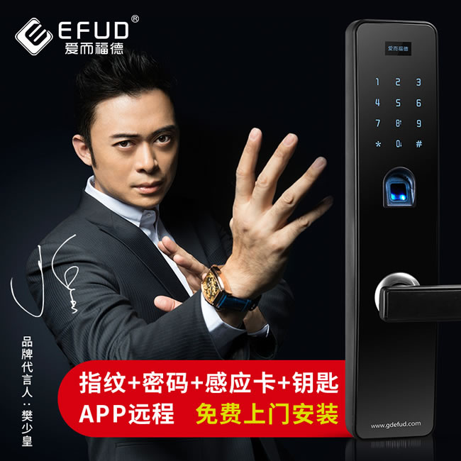 爱而福德指纹锁 E10家用进户防盗门指纹密码感应卡锁