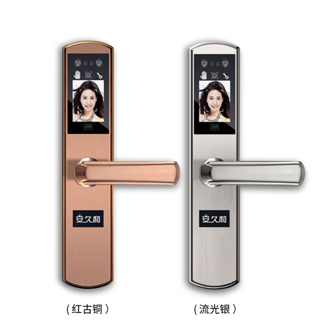安久和智能锁_安久和智能锁 人脸识别锁家用防盗门掌纹识别锁