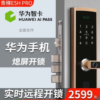 青稞智能锁-青稞智能锁 E5H Pro家用电子防盗WIFI远程智能锁