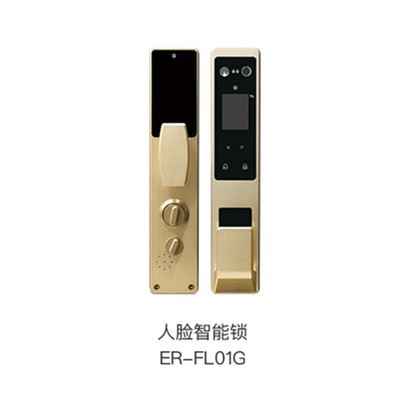 准德智能锁 ER-FL01G人脸识别智能锁