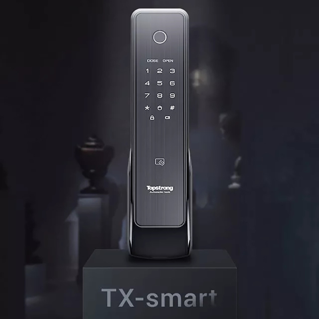 顶固安全智能锁_顶固智能锁 TX smart室内全自动推拉智能锁