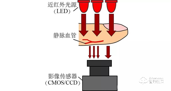 指纹VS人脸VS虹膜VS指静脉？生物识别高科技你真的懂吗？