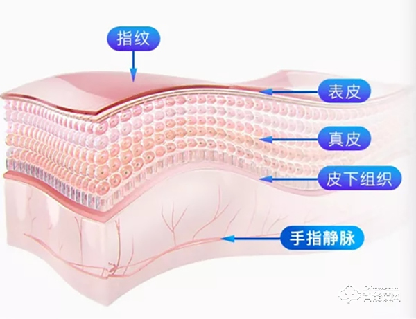 玺尔盾智能锁怎么样 玺尔盾智能锁优势