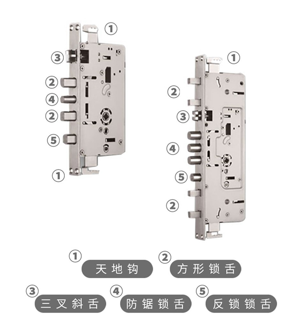 多玛凯拔增强“免疫力”，有TA更靠谱