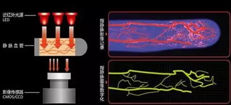 顶吉智能锁为您解析六种常见的生物识别技术