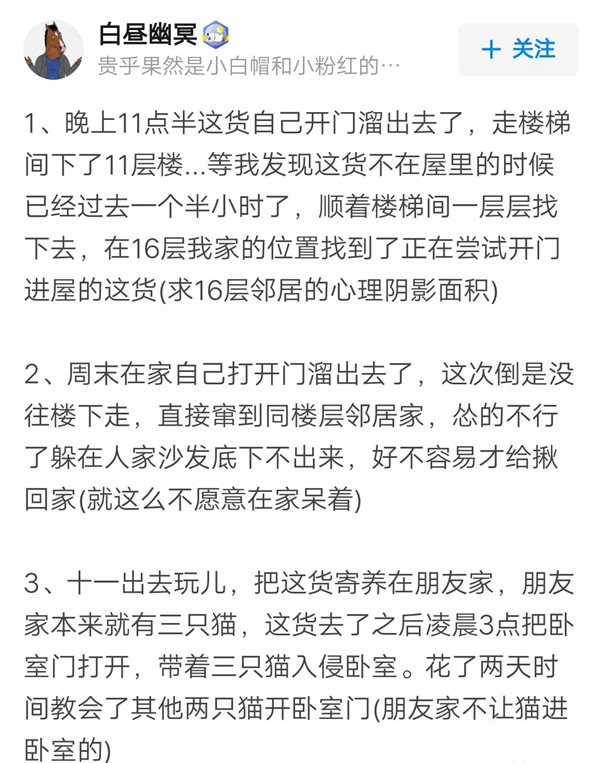 VOC智能锁告诉你 家里宠物偷偷开门要怎么办