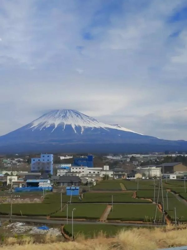 美菱公司2018年度先进个人日本之旅圆满结束