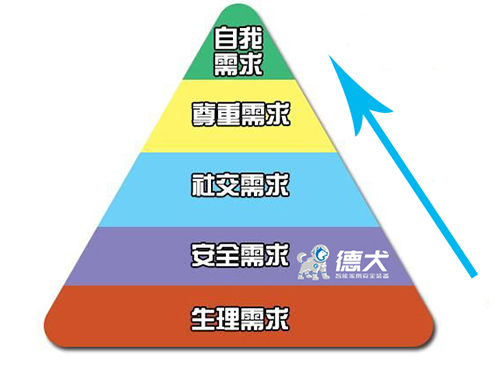 德犬新零售商业模式，消费升级带来新体验