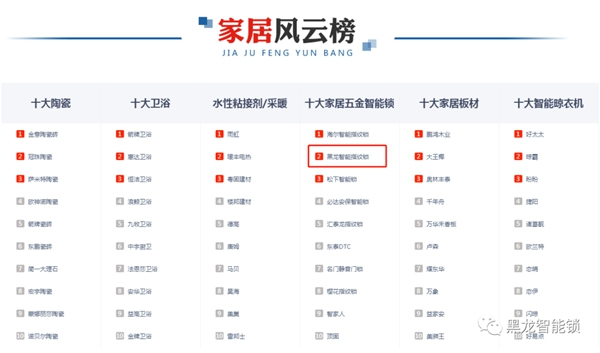 黑龙●央广网品牌战略升级，再添行业Top荣誉！